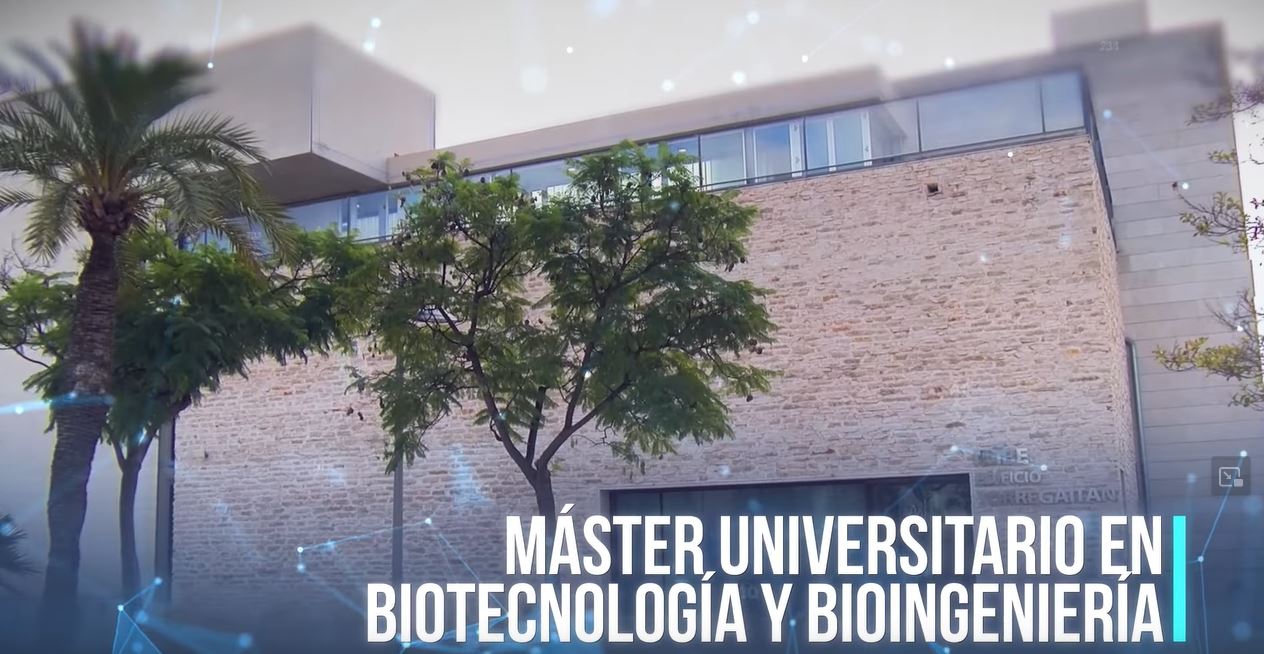 Por Qu Estudiar El M Ster Universitario En Biotecnolog A Y