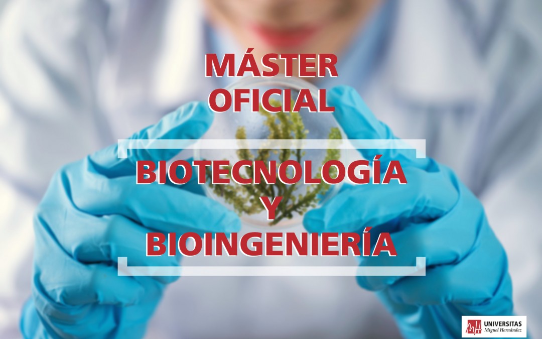 ¿Qué es una titulación oficial? – Máster Oficial en Biotecnología y Bioingeniería