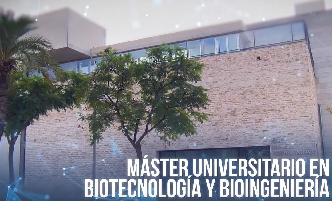 ¿Por qué estudiar el Máster Universitario en Biotecnología y Bioingeniería?