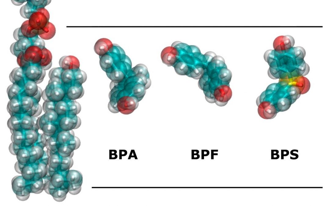 Los bisfenoles utilizados en la fabricación de productos como alternativas ‘seguras’ al BPA suponen un riesgo para la salud, según un estudio de la UMH