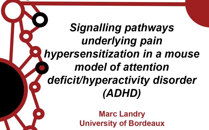 Seminario “Signalling pathways underlying pain hypersensitization in a mouse model of attention deficit/hyperactivity disorder (ADHD)”