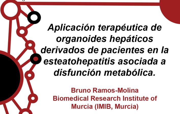 Seminario “Aplicación terapéutica de organoides hepáticos derivados de pacientes en la esteatohepatitis asociada a disfunción metabólica”