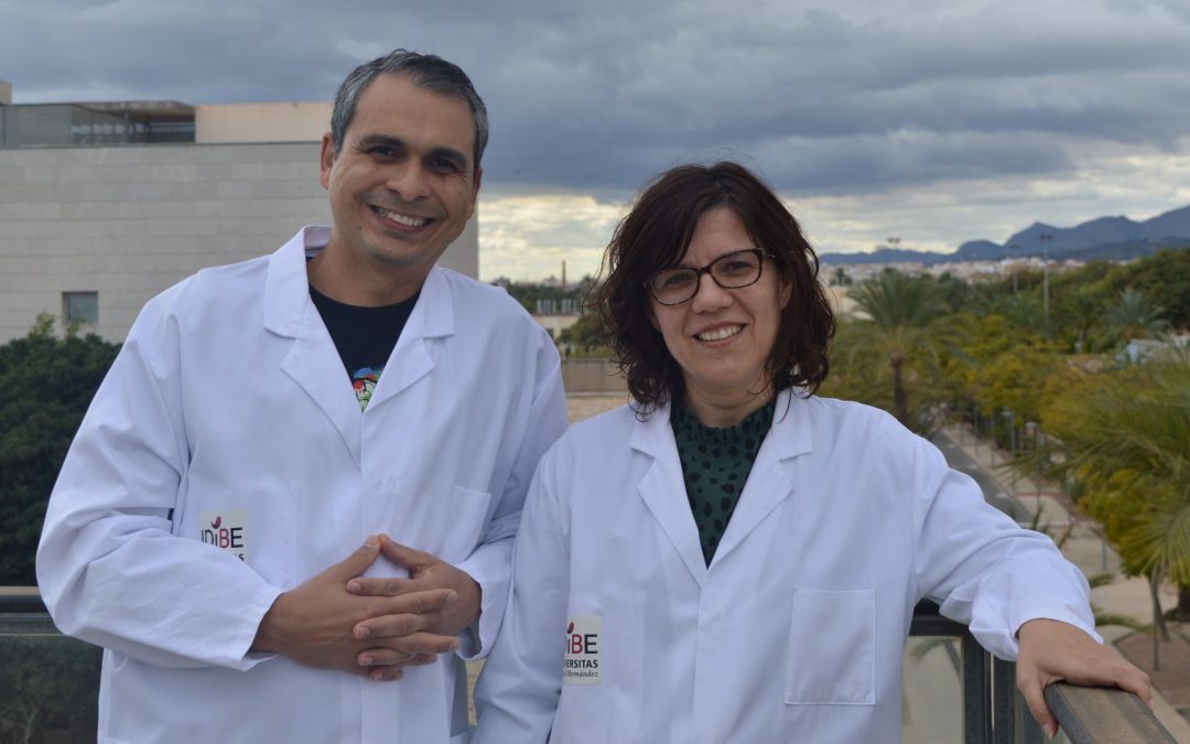 Investigadores UMH financiados dentro del programa EFSD/Lilly European Diabetes Research Programme