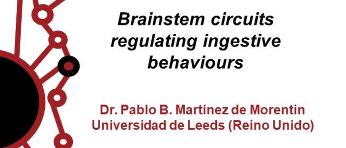 Seminario «Brainstem circuits regulating ingestive behaviours»
