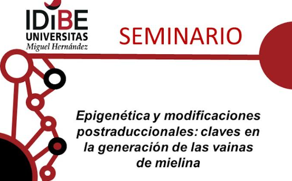 Seminario «Epigenética y modificaciones postraduccionales: claves en la generación de las vainas de mielina»