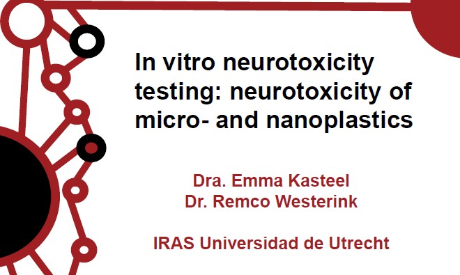 Seminario: “In vitro neurotoxicity testing: neurotoxicity of micro- and nanoplastics”